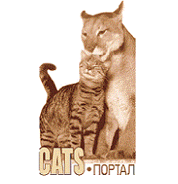 Mau.ru