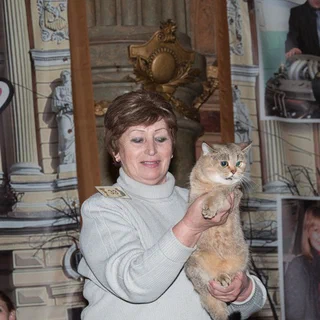 Фотогалерея 10